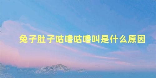 兔子肚子咕噜咕噜叫是什么原因