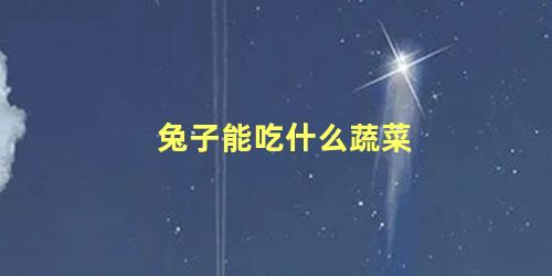 兔子能吃什么蔬菜