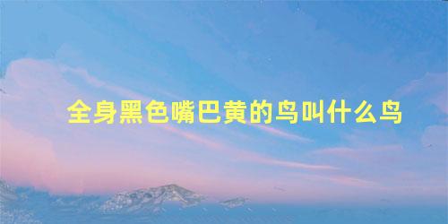全身黑色嘴巴黄的鸟叫什么鸟