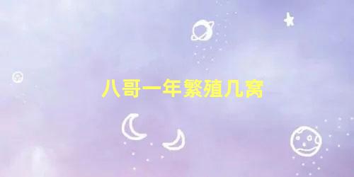 八哥一年繁殖几窝