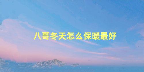 八哥冬天怎么保暖最好