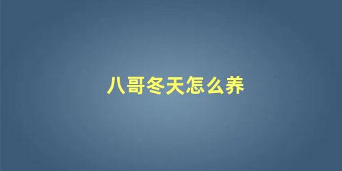 八哥冬天怎么养
