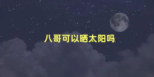 八哥可以晒太阳吗