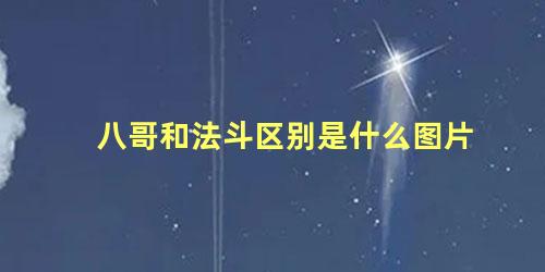 八哥和法斗区别是什么图片
