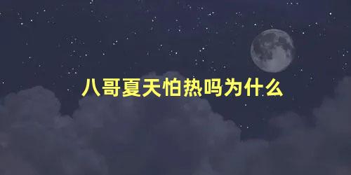 八哥夏天怕热吗为什么
