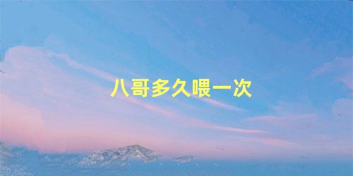 八哥多久喂一次