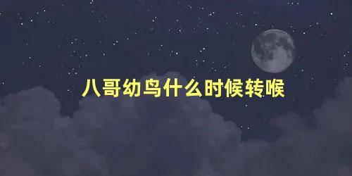 八哥幼鸟什么时候转喉
