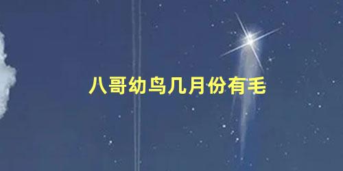 八哥幼鸟几月份有毛