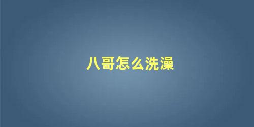 八哥怎么洗澡