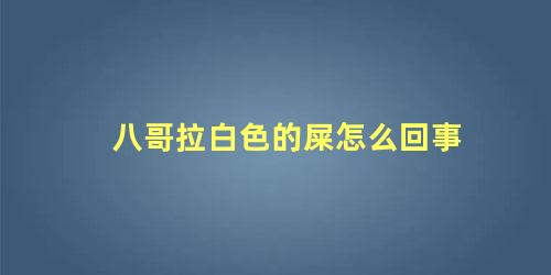 八哥拉白色的屎怎么回事