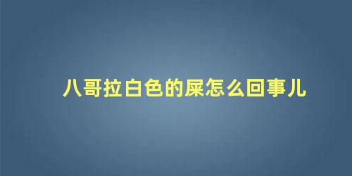 八哥拉白色的屎怎么回事儿