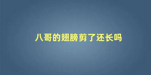 八哥的翅膀剪了还长吗