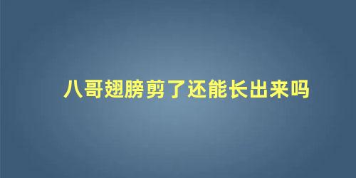 八哥翅膀剪了还能长出来吗