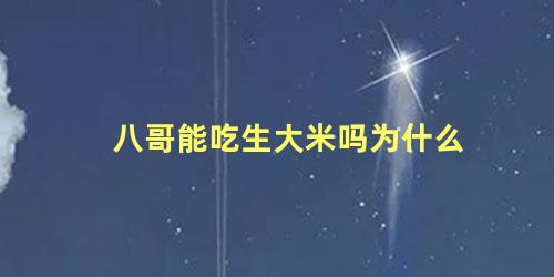 八哥能吃生大米吗为什么