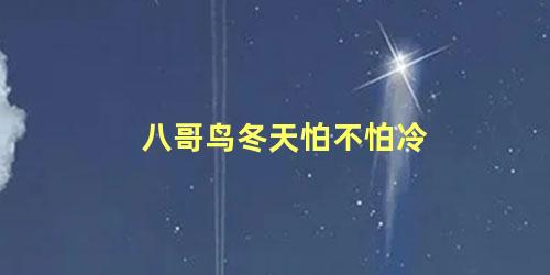 八哥鸟冬天怕不怕冷