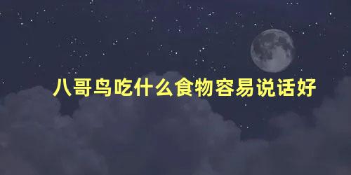 八哥鸟吃什么食物容易说话好