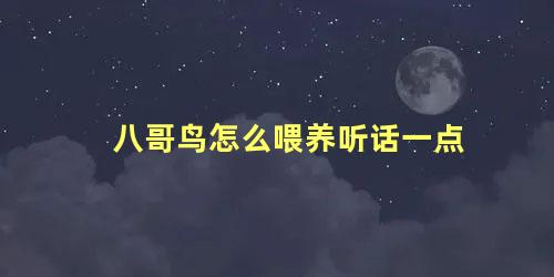 八哥鸟怎么喂养听话一点