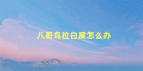 八哥鸟拉白屎怎么办