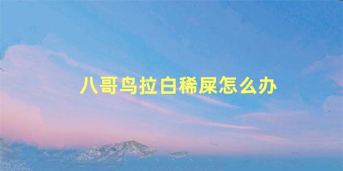 八哥鸟拉白稀屎怎么办