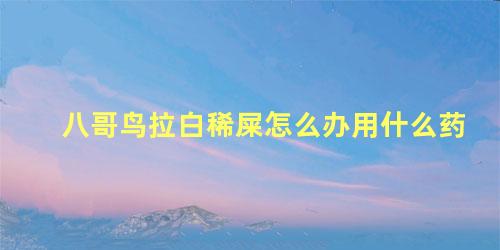 八哥鸟拉白稀屎怎么办用什么药