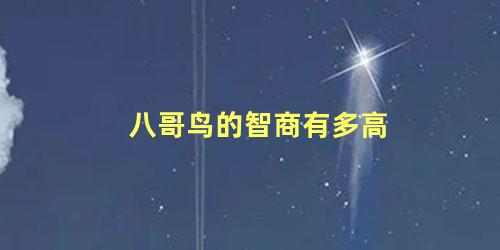 八哥鸟的智商有多高
