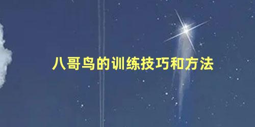 八哥鸟的训练技巧和方法