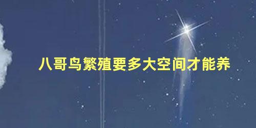 八哥鸟繁殖要多大空间才能养