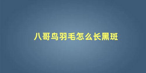 八哥鸟羽毛怎么长黑斑