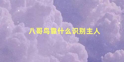 八哥鸟靠什么识别主人