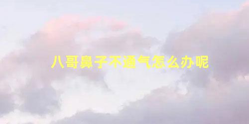 八哥鼻子不通气怎么办呢