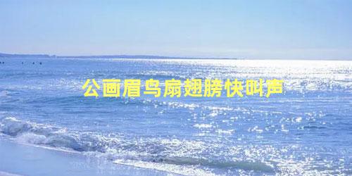 公画眉鸟扇翅膀快叫声