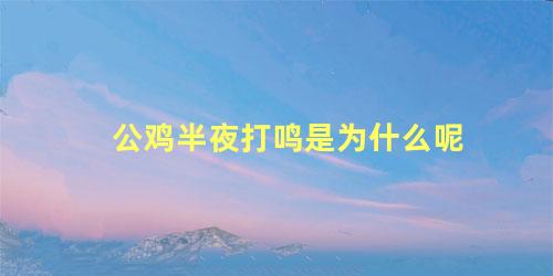 公鸡半夜打鸣是为什么呢