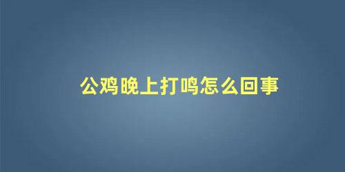 公鸡晚上打鸣怎么回事