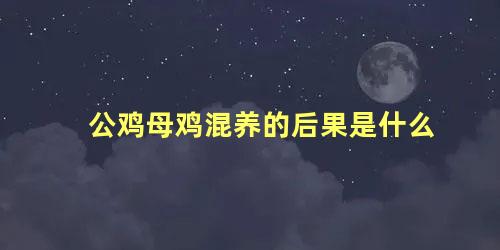 公鸡母鸡混养的后果是什么