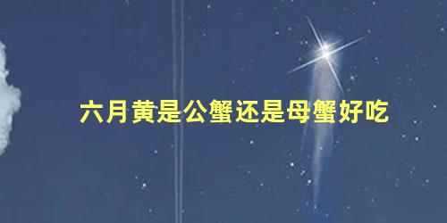 六月黄是公蟹还是母蟹好吃