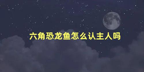 六角恐龙鱼怎么认主人吗