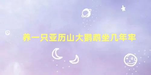 养一只亚历山大鹦鹉坐几年牢