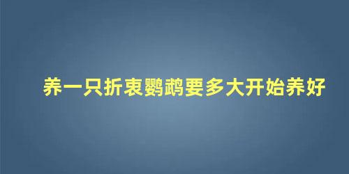 养一只折衷鹦鹉要多大开始养好