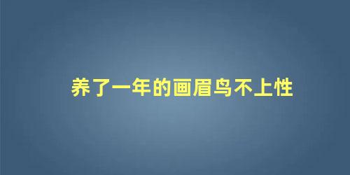 养了一年的画眉鸟不上性