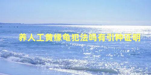 养人工黄缘龟犯法吗有引种证明