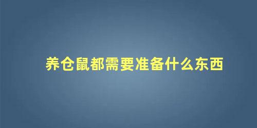 养仓鼠都需要准备什么东西