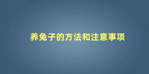 养兔子的方法和注意事项