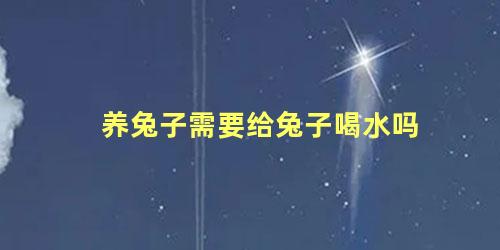 养兔子需要给兔子喝水吗