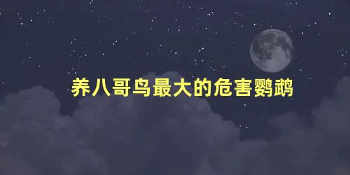 养八哥鸟最大的危害鹦鹉