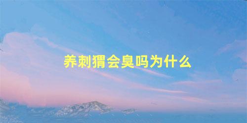 养刺猬会臭吗为什么