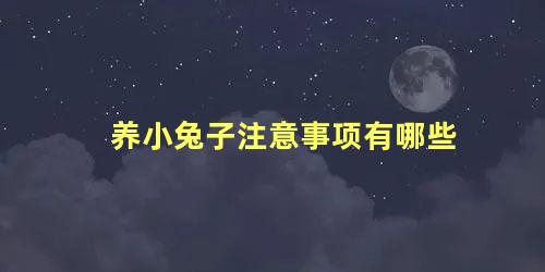 养小兔子注意事项有哪些