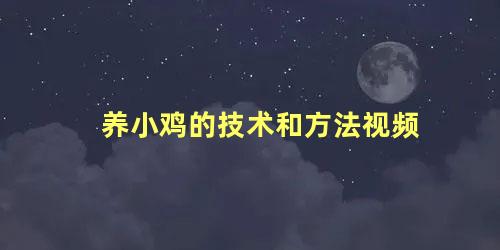 养小鸡的技术和方法视频