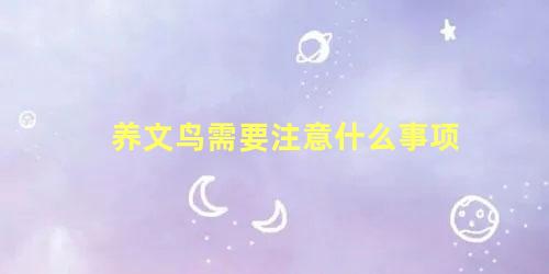 养文鸟需要注意什么事项