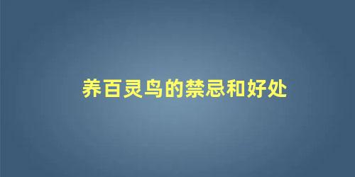 养百灵鸟的禁忌和好处