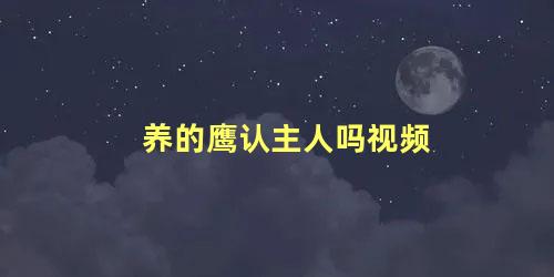 养的鹰认主人吗视频
